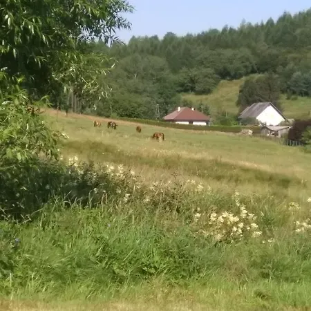 Altana Caloroczna Vira Numer 7 Herbergerowka Agroturystyka Na Wsi Duszniki Zdroj Exterior photo