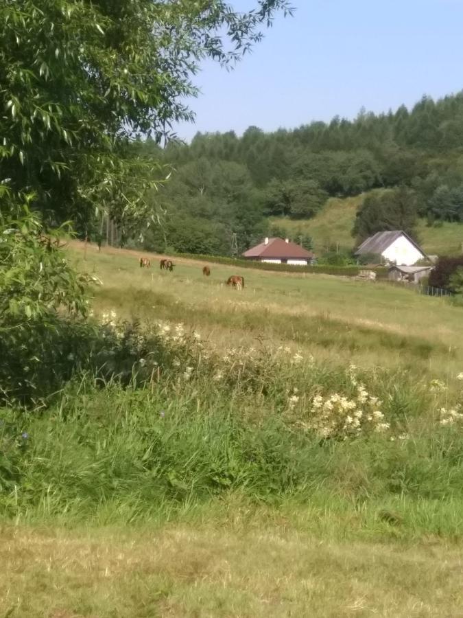 Altana Caloroczna Vira Numer 7 Herbergerowka Na Wsi Holiday home Duszniki Zdroj