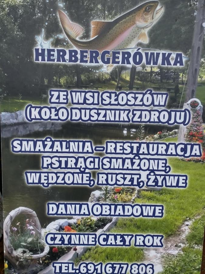 Altana Caloroczna Vira Numer 7 Herbergerowka Na Wsi *